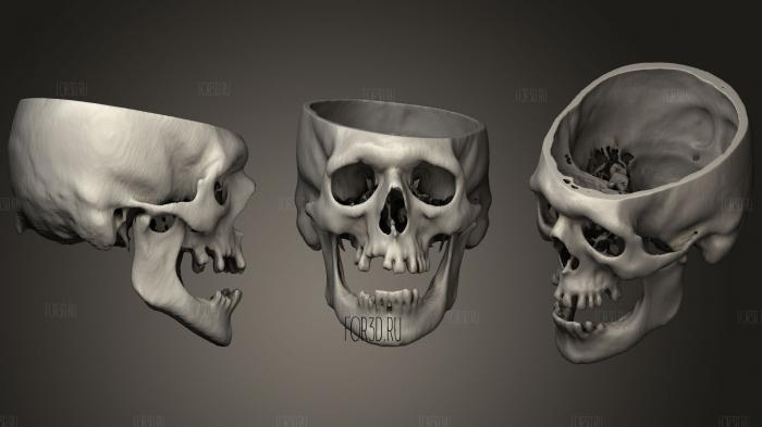 Skull Male 51yo69 stl model for CNC